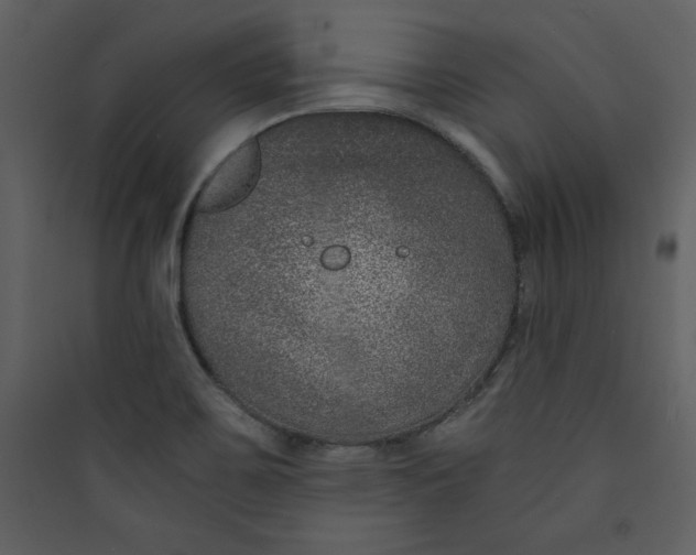 X0000089751467200707121331