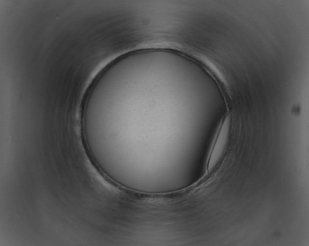 X0000089751468200707121331