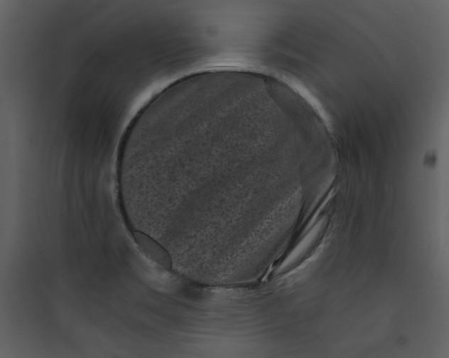 X0000089751469200707121331