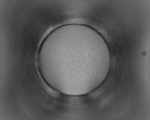 X0000089751470200707121331