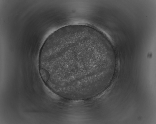 X0000089751471200707121331