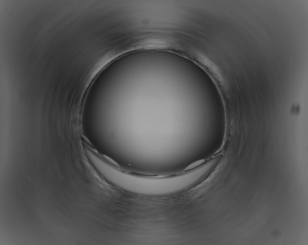 X0000089751473200707121331