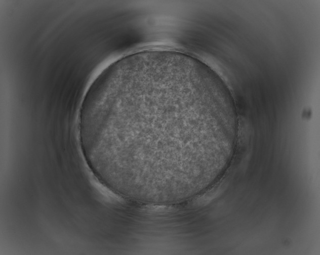 X0000089751474200707121331