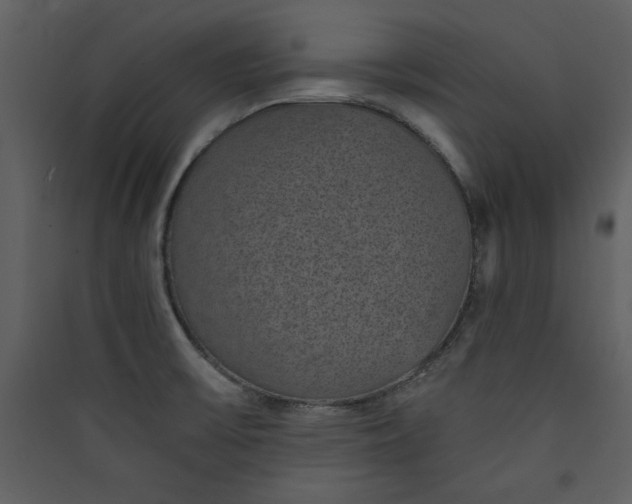 X0000089751475200707121331