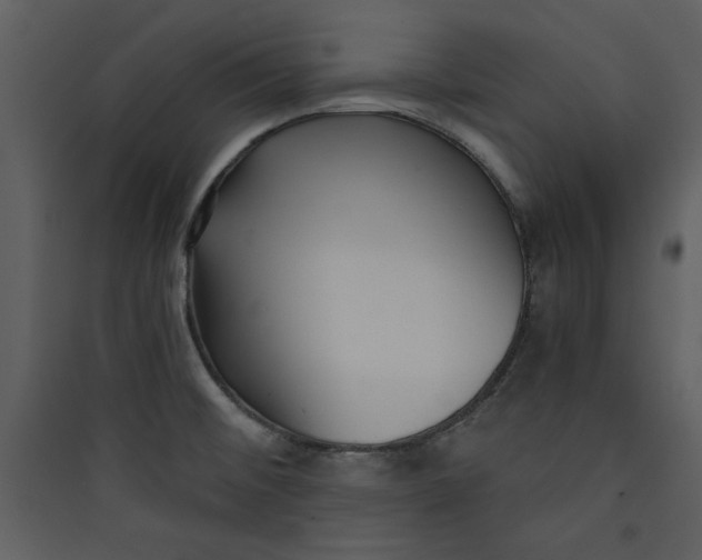 X0000089751476200707121331