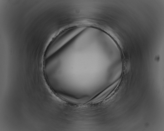 X0000089751477200707121331