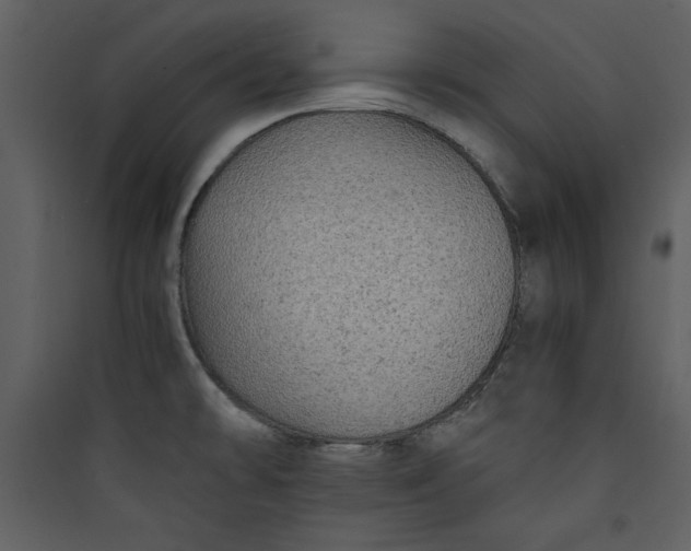 X0000089751478200707121331