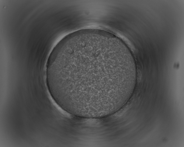 X0000089751479200707121331