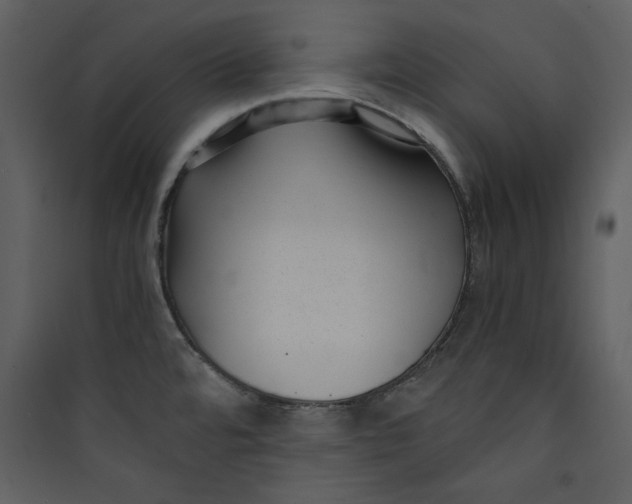 X0000089751480200707121331