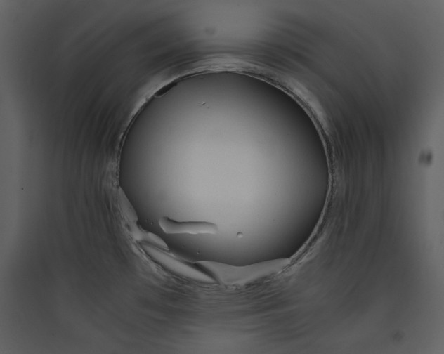 X0000089751481200707121331