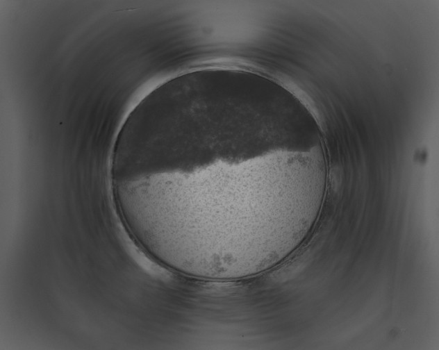 X0000089751482200707121331