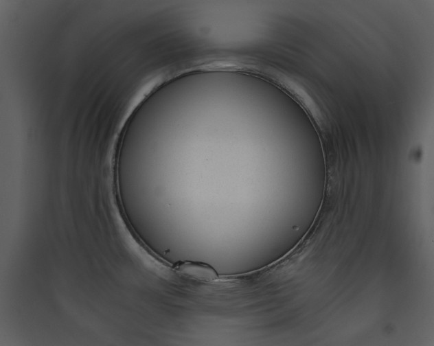 X0000089751483200707121331