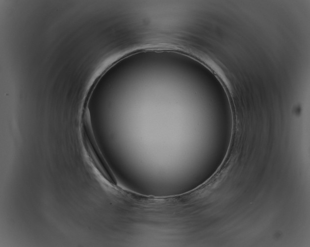 X0000089751485200707121331