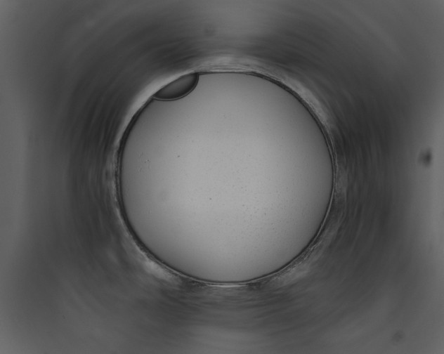 X0000089751486200707121331