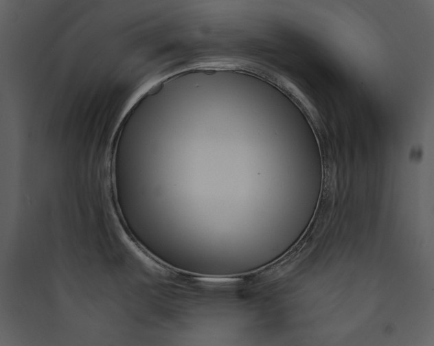 X0000089751487200707121331