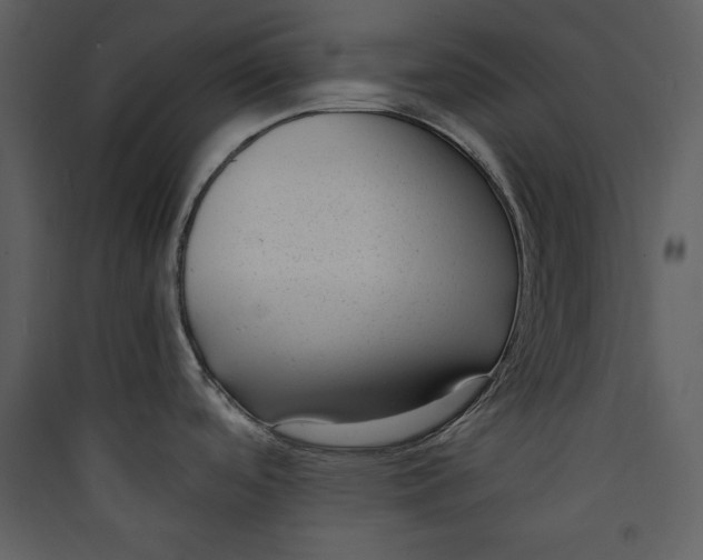 X0000089751488200707121331