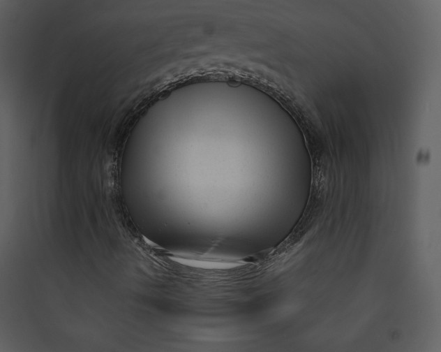 X0000089751490200707121330