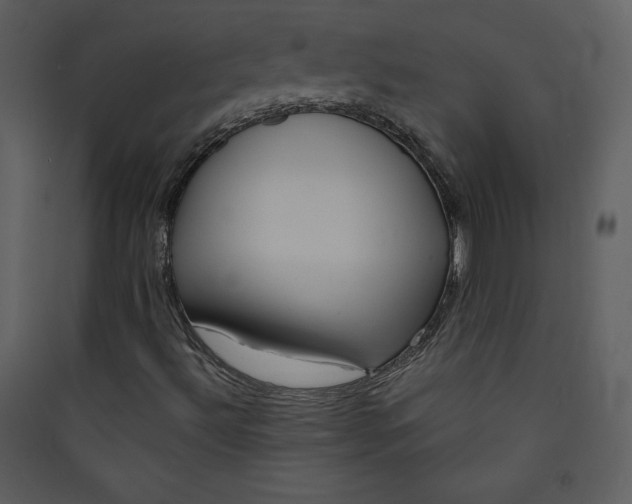 X0000089751492200707121330