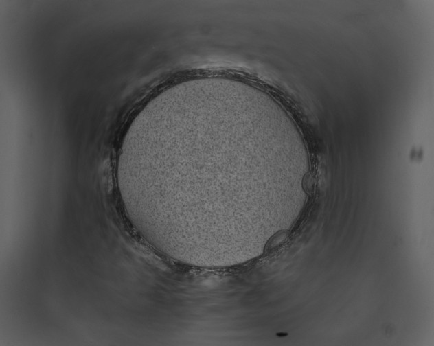 X0000089751493200707121330