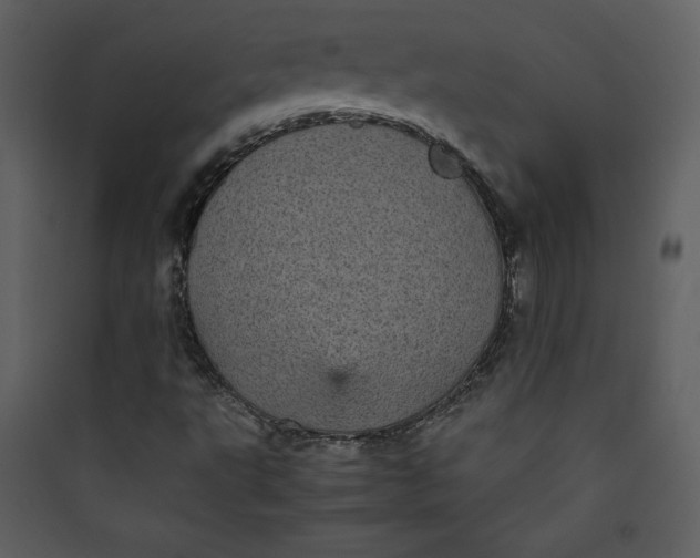 X0000089751495200707121330