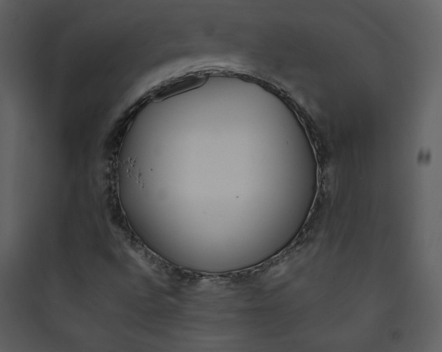 X0000089751496200707121330