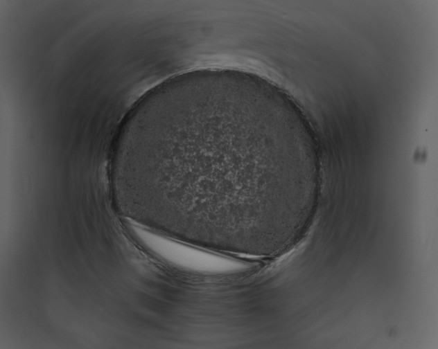 X0000089751497200707121330