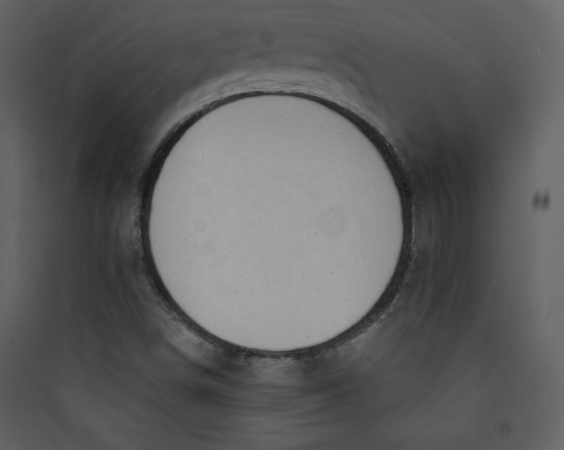 X0000089751498200707121330