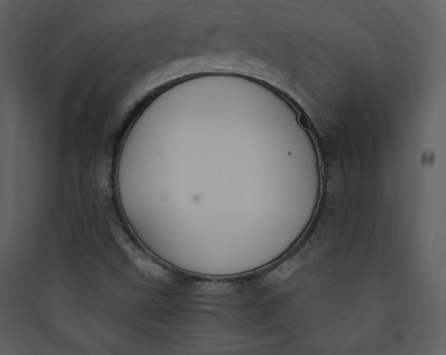 X0000089751499200707121330