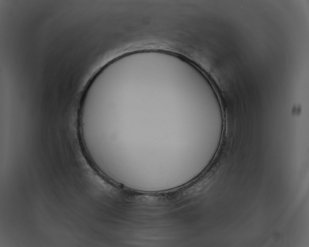 X0000089751500200707121330