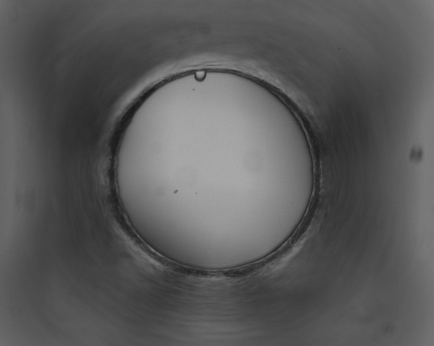 X0000089751502200707121330