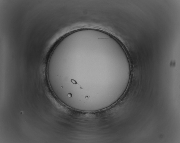 X0000089751503200707121330