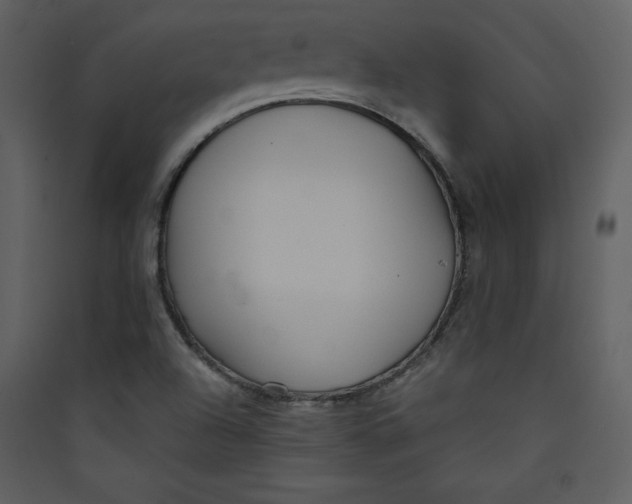 X0000089751504200707121330