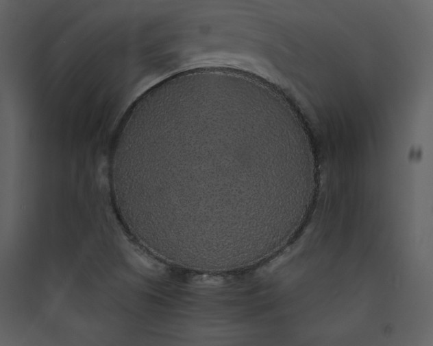 X0000089751505200707121330