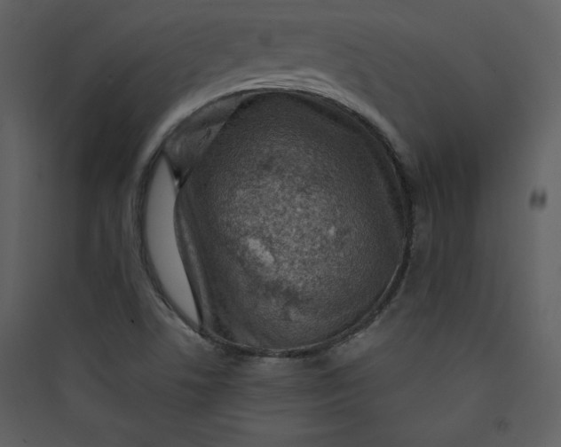 X0000089751506200707121330