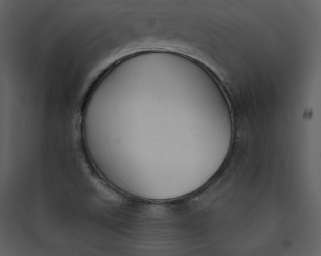 X0000089751507200707121330