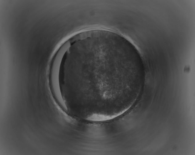 X0000089751508200707121330