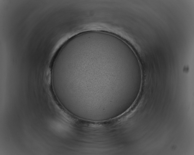 X0000089751509200707121330