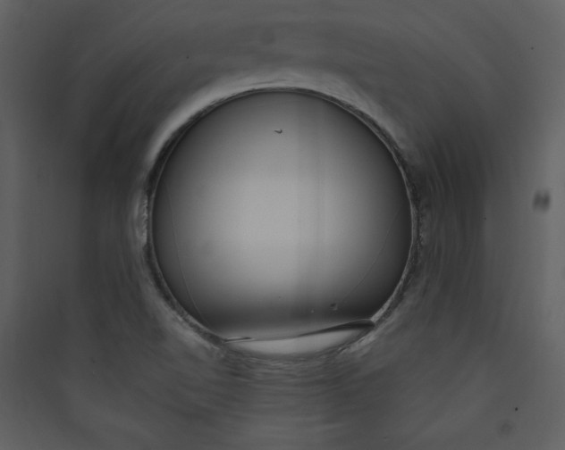 X0000089751510200707121331