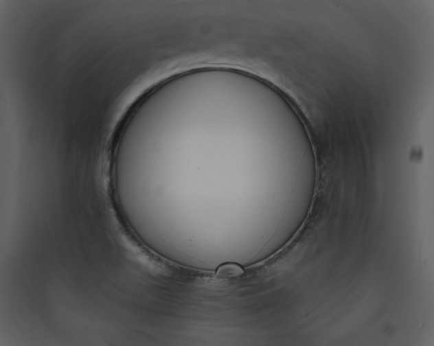 X0000089751511200707121331