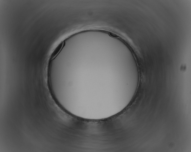 X0000089751512200707121331