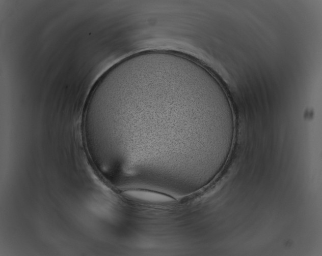 X0000089751513200707121331