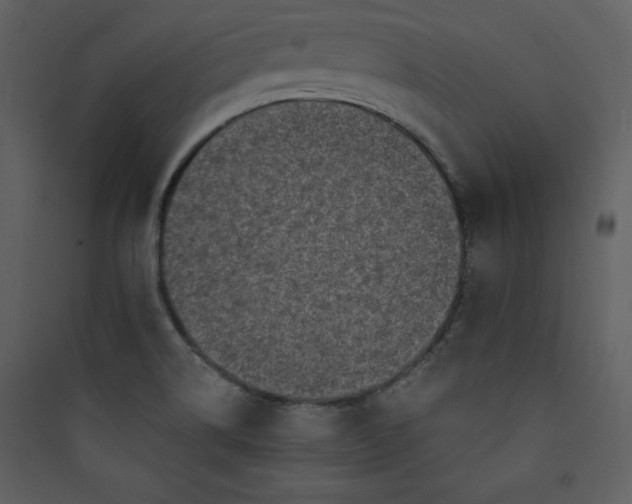 X0000089751514200707121331