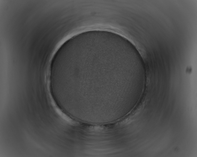 X0000089751515200707121331