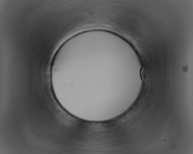 X0000089751516200707121331