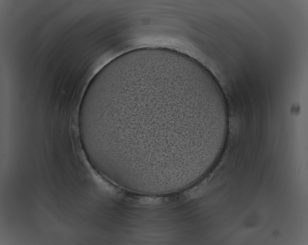 X0000089751521200707121331