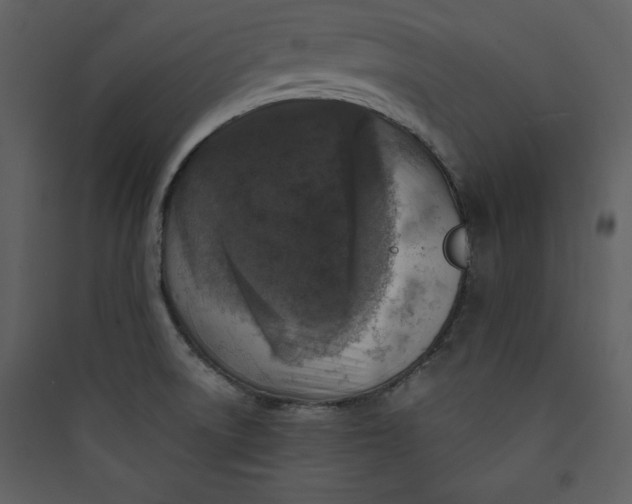 X0000089751522200707121331