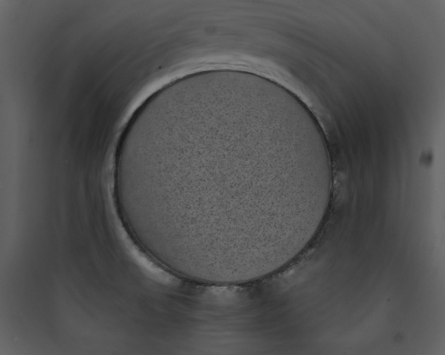 X0000089751523200707121331