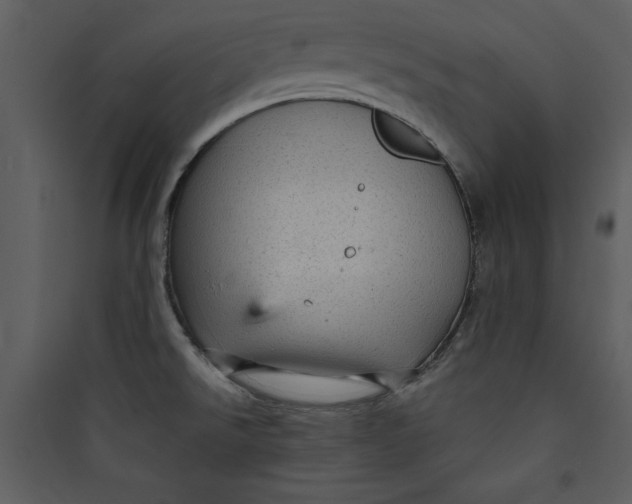 X0000089751526200707121331