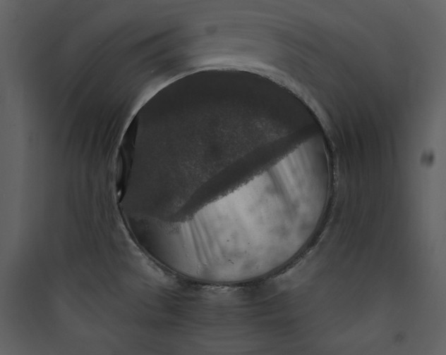 X0000089751529200707121331