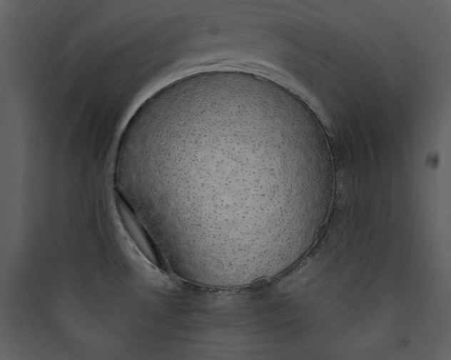 X0000089751530200707121331